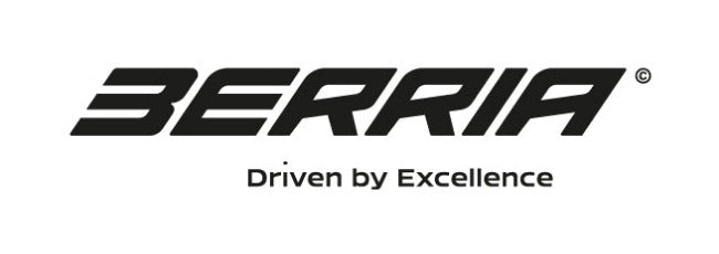 Berria logotipas